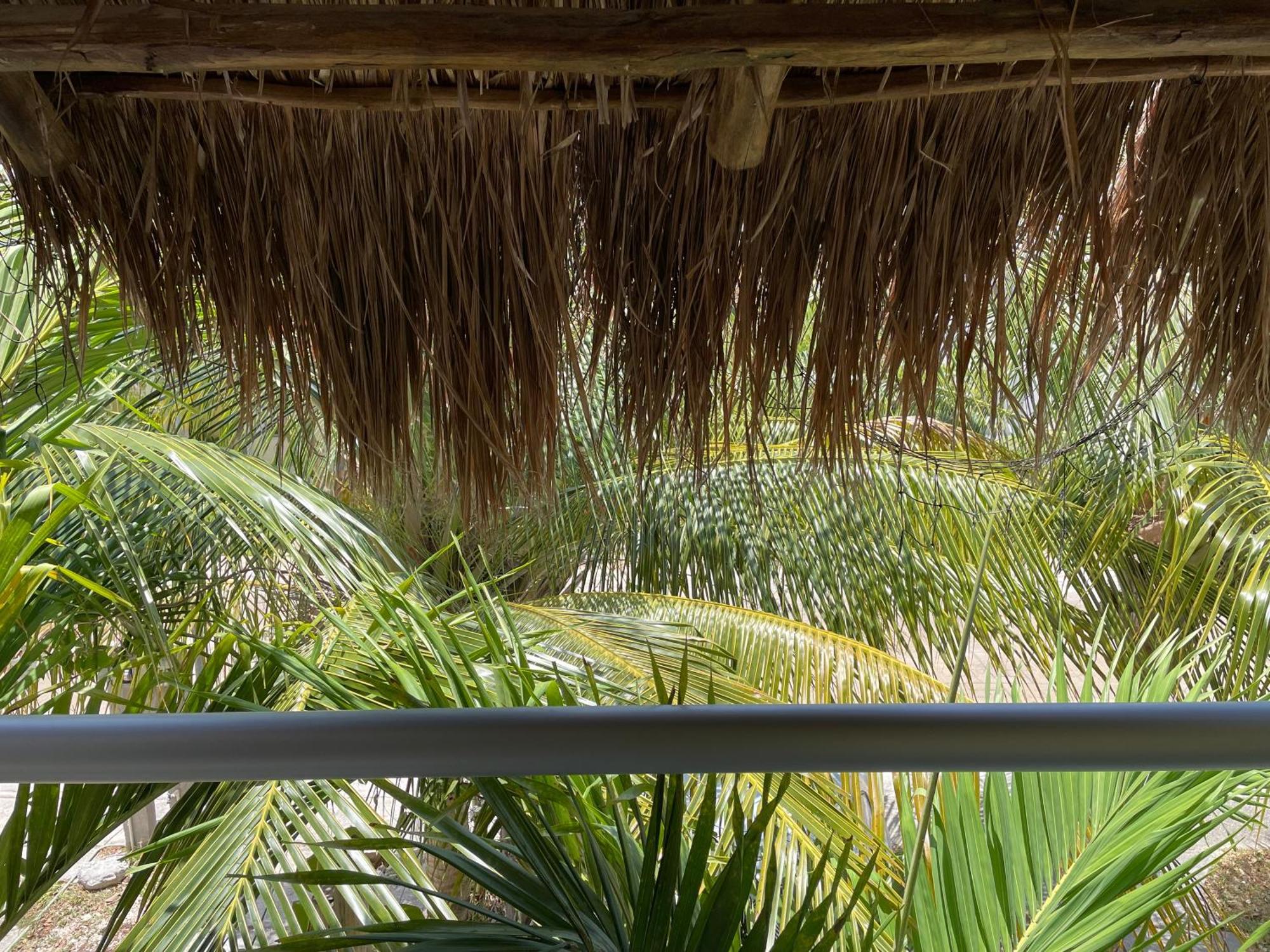 Home'S Jungle Puerto Morelos Cancun 20 Minutes From The Airport 外观 照片